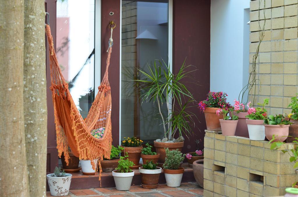 빌라노바데밀폰테스 A Casa Da Arvore B&B 외부 사진