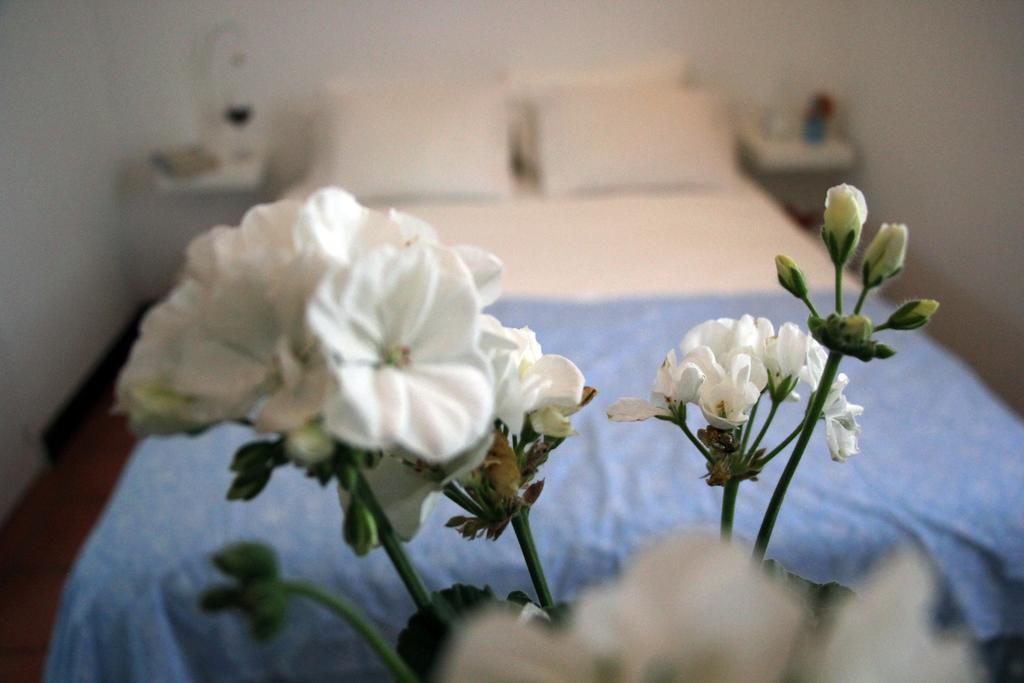 빌라노바데밀폰테스 A Casa Da Arvore B&B 객실 사진