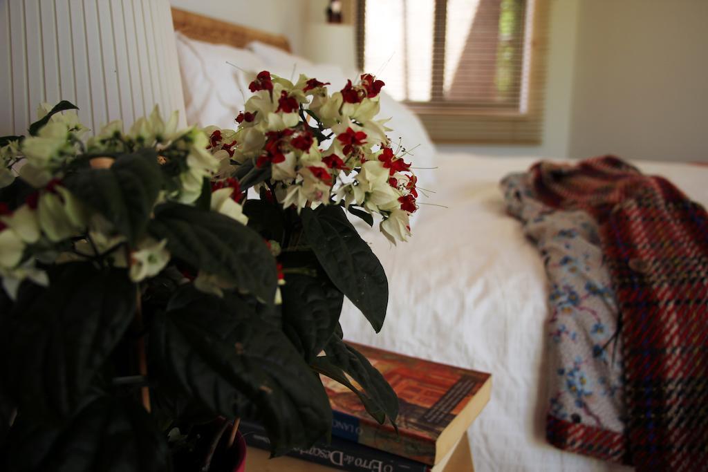 빌라노바데밀폰테스 A Casa Da Arvore B&B 객실 사진