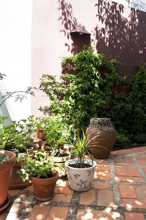 빌라노바데밀폰테스 A Casa Da Arvore B&B 외부 사진