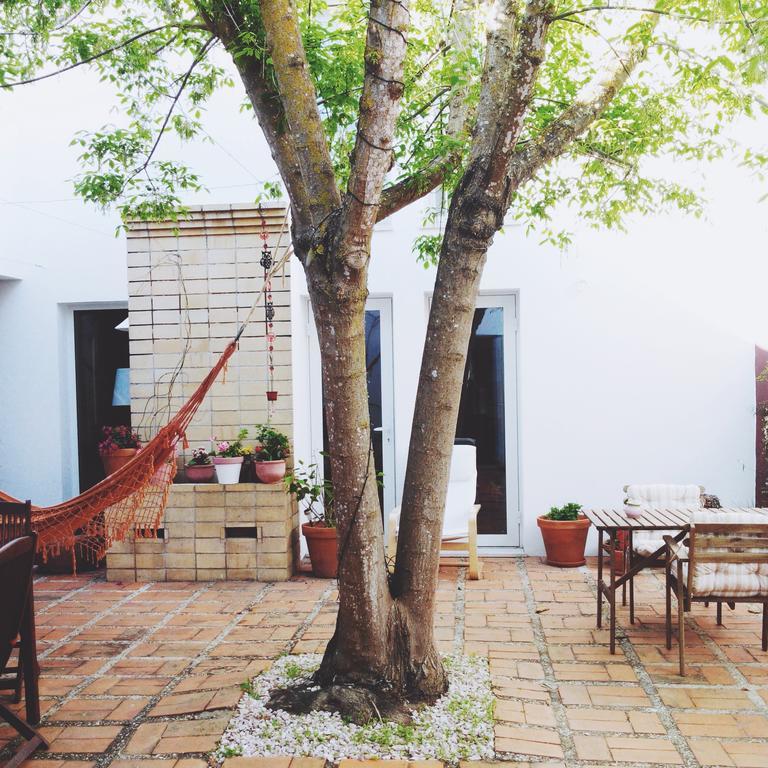 빌라노바데밀폰테스 A Casa Da Arvore B&B 외부 사진
