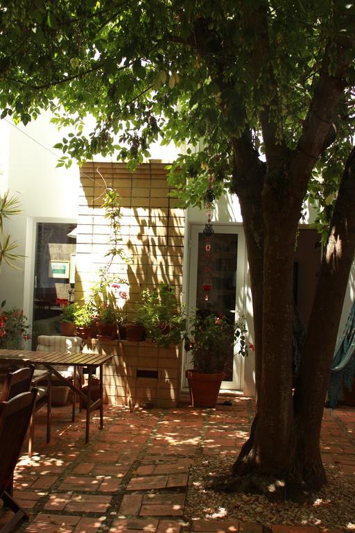 빌라노바데밀폰테스 A Casa Da Arvore B&B 외부 사진