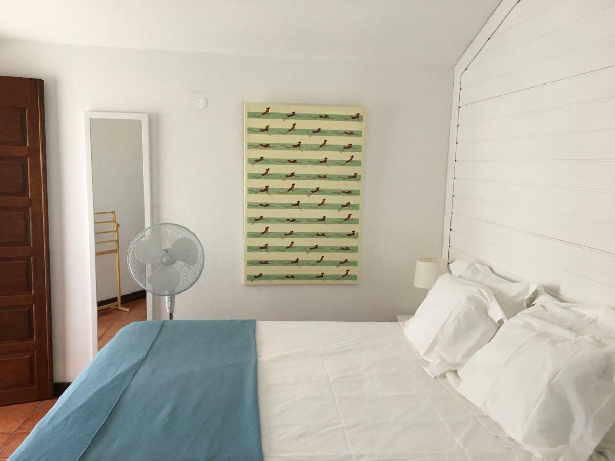 빌라노바데밀폰테스 A Casa Da Arvore B&B 외부 사진